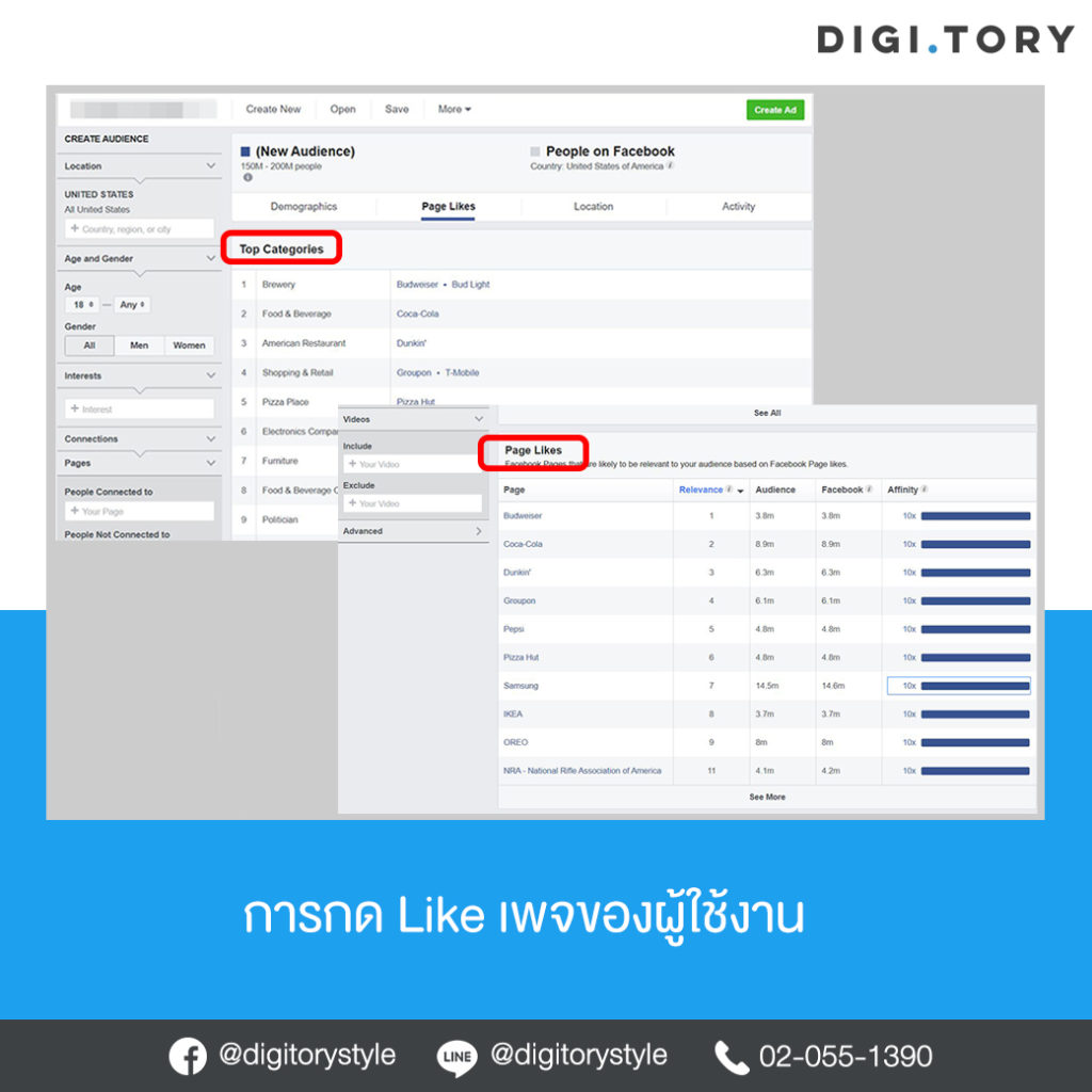 Page Like Facebook Audience Insights