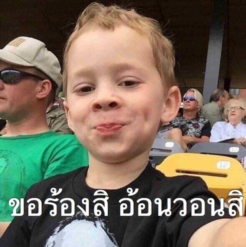 ขอร้อง อ้อนวอนฉันสิ มีม