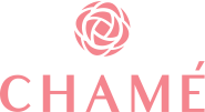Chame logo